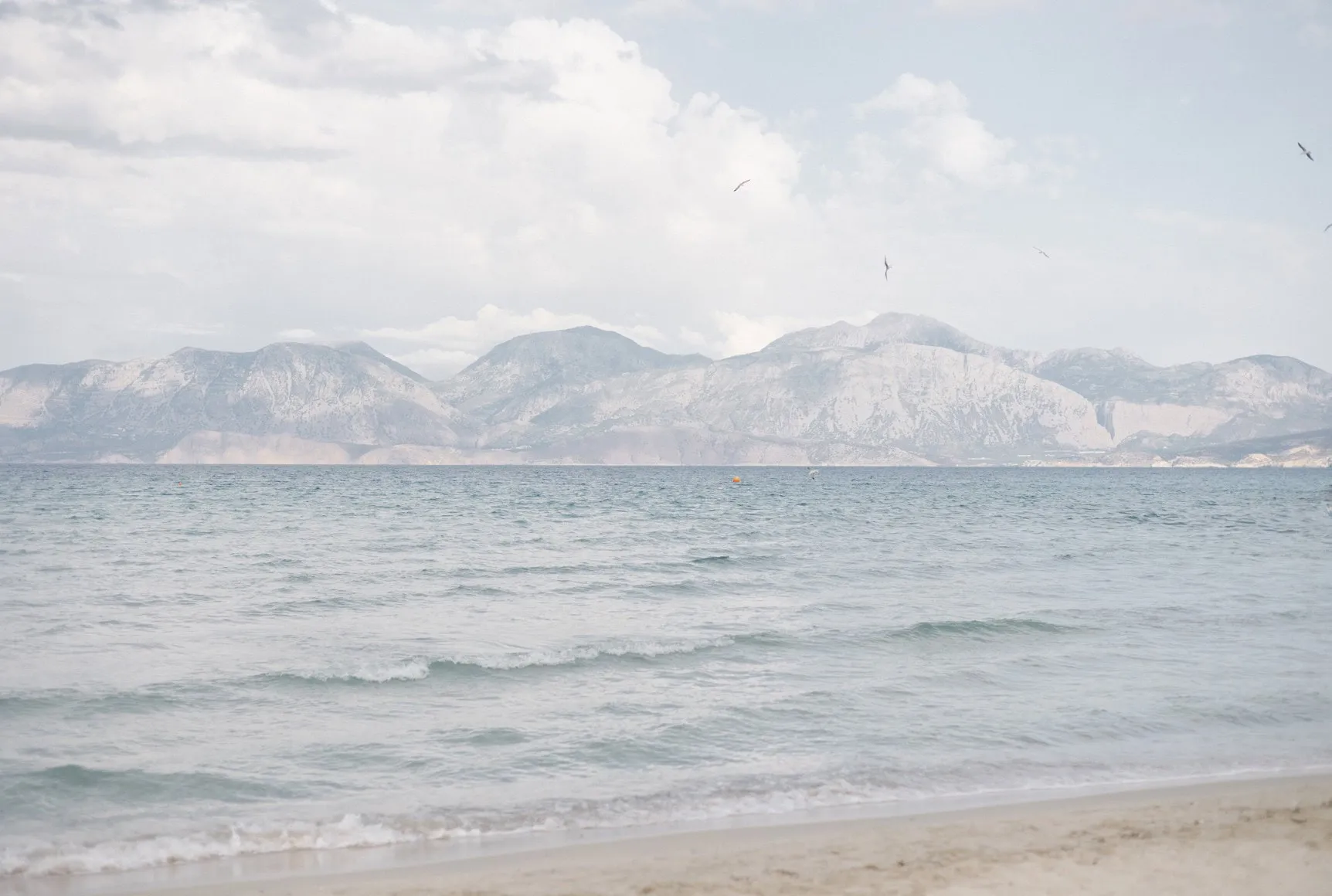Johannes & Vanessa — wedding photograph 116