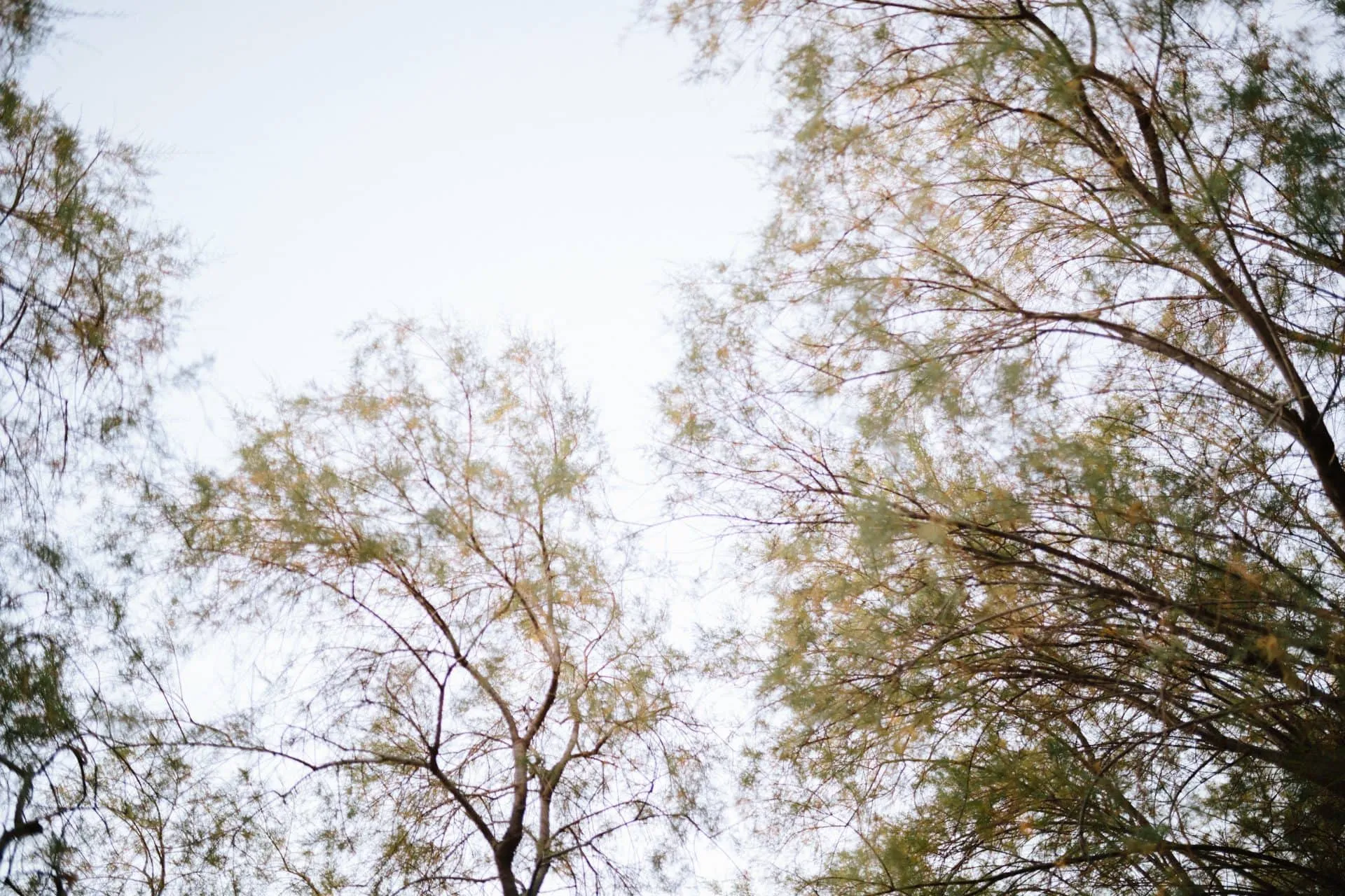 Manos & Karla — wedding photograph 20