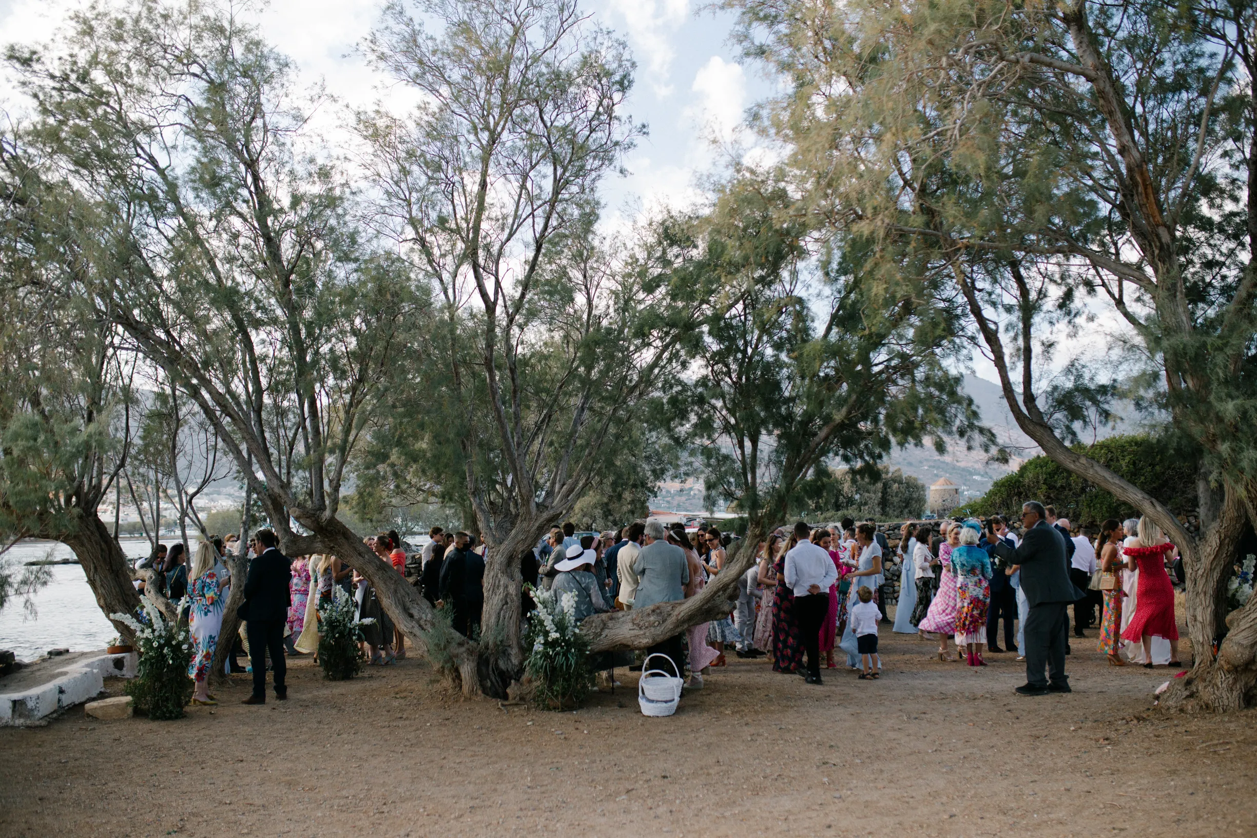 Tas & Georgia — wedding photograph 136