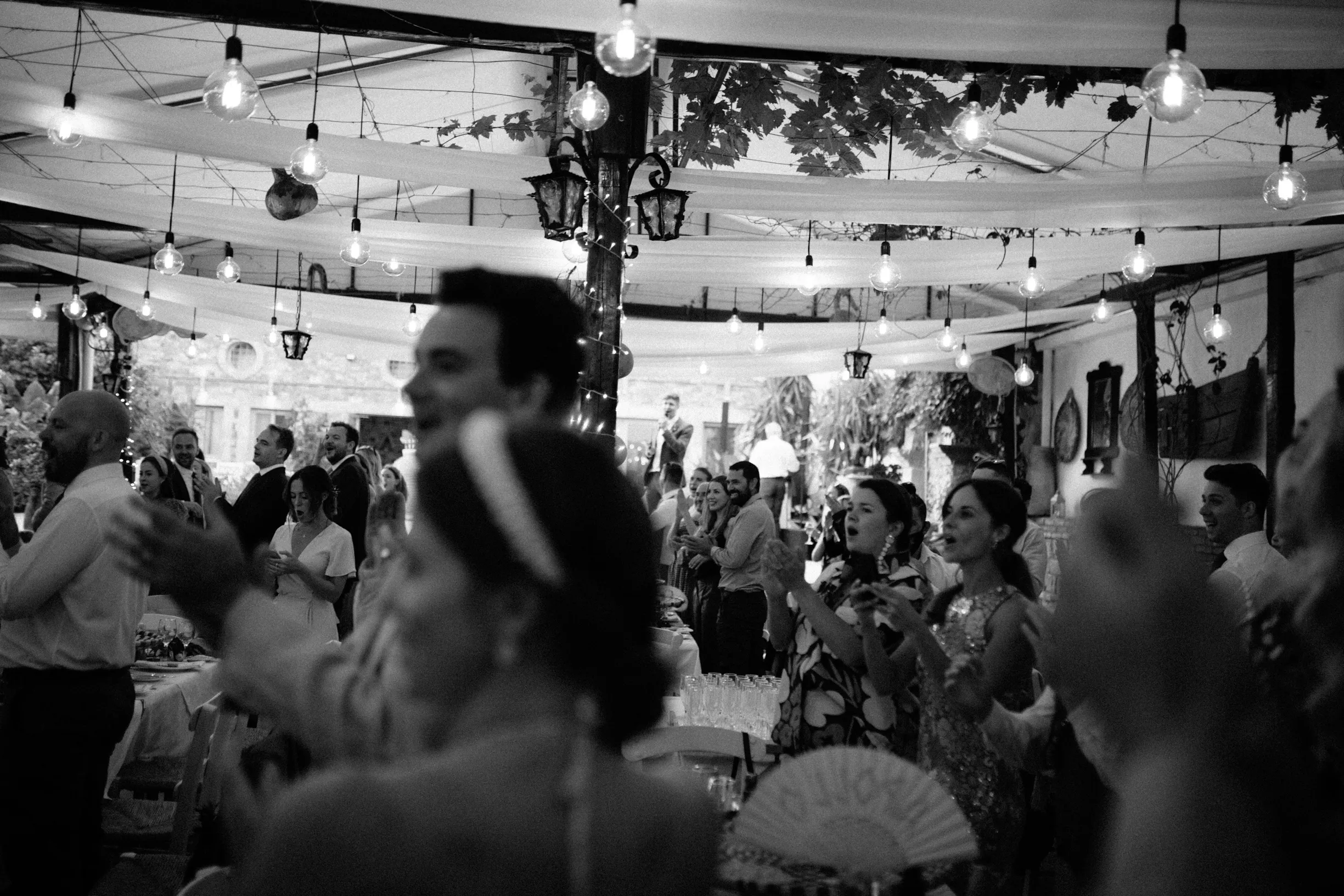 Tas & Georgia — wedding photograph 164